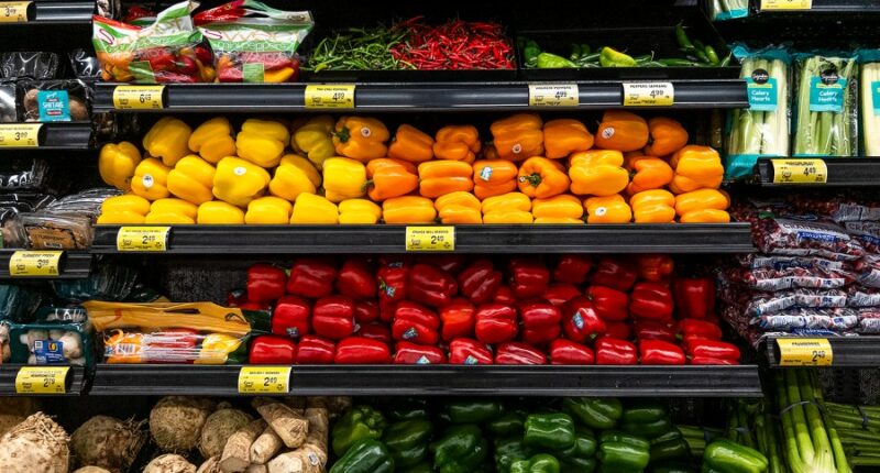 Appeals court refuses to block full SNAP payments 