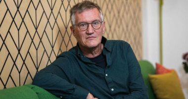 Architect of Sweden's controversial anti-lockdown strategy reveals why nation did NOT need stay at home measures as UK Inquiry condemns 'too little, too late' Government response and concludes lockdowns could have been AVOIDED