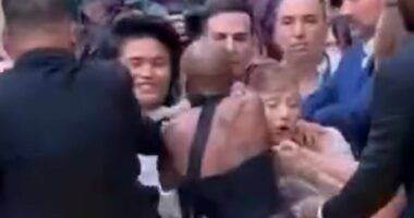 Ariana Grande is ambushed by fan at Wicked premiere
