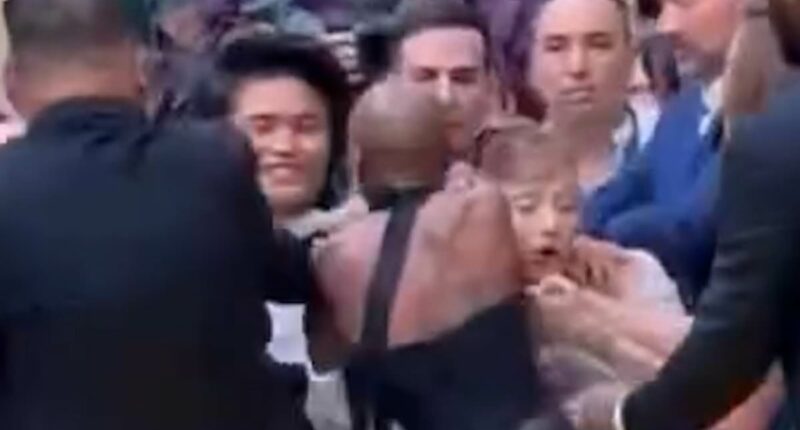 Ariana Grande is ambushed by fan at Wicked premiere