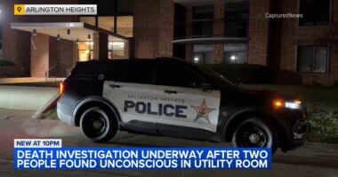 Arlington Heights news: Deaths of 2 men found in utility room of Dana Point Condominiums ruled homicides, officials say