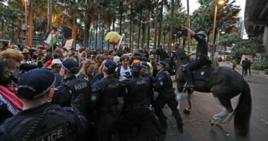 Arms expo protests expected to continue after 12 charged in Sydney