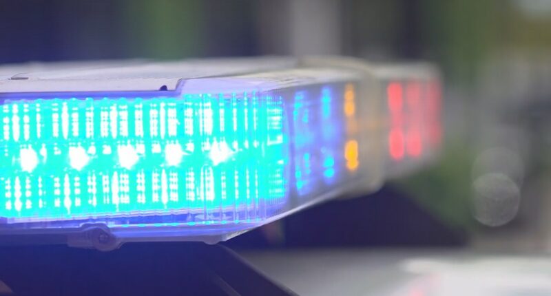 Arrest warrant issued for Bell High football player accused of attacking Fernandina Beach High football player during game