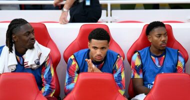 Arsenal Q&A - your questions answered: The three first-team stars they will listen to offers on, why Ethan Nwaneri could head out on loan in January, latest on Gabriel injury and Myles Lewis-Skelly's future