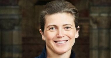 Art museum boss is fired over claims she was too focused on DEI