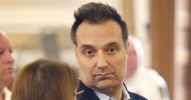 Art swindler on trial for his wife's murder changes two of his pleas