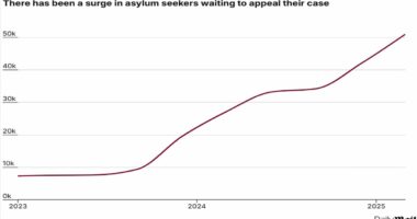 Asylum appeals surge SIX-FOLD leaving courts 'overwhelmed' - as experts warn 50,000 backlog leaves 'dangerous' men free to roam the streets
