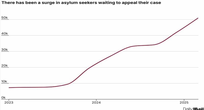 Asylum appeals surge SIX-FOLD leaving courts 'overwhelmed' - as experts warn 50,000 backlog leaves 'dangerous' men free to roam the streets