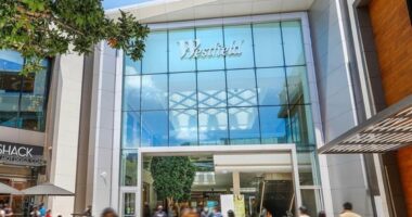 At least three injured in Black Friday shooting at Valley Fair Mall