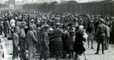 Auction of Holocaust-related items in Germany called off amid outcry