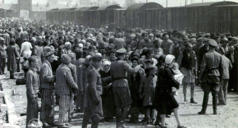 Auction of Holocaust-related items in Germany called off amid outcry