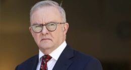 Prime Minister Anthony Albanese during a press conference at Parliament House in Canberra on Monday 10 November 2025.
