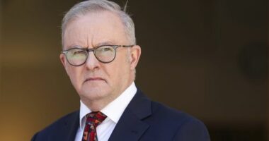 Prime Minister Anthony Albanese during a press conference at Parliament House in Canberra on Monday 10 November 2025.