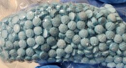 Drugs seized by NSW and WA Police in Strike Force Bloomfield.