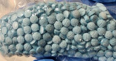 Drugs seized by NSW and WA Police in Strike Force Bloomfield.