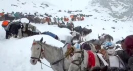 Avalanche in Nepal kills 7 climbers on Mount Yalung Ri