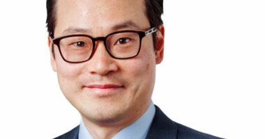 Avoid companies 'wasting' billions on AI - but keep backing Nvidia, says fund manager