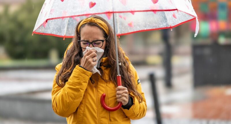 BBC Morning Live Doctor debunks common cold remedies and old wives’ tales