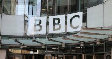 BBC coverage of gender issues is being 'censored' by pro-trans staff who refuse to cover stories - as Tim Davie faces calls to quit over bias row