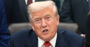 BBC issues grovelling apology to Donald Trump over documentary