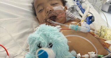 Baby suffers heart attack after mistaking drain cleaner for milk