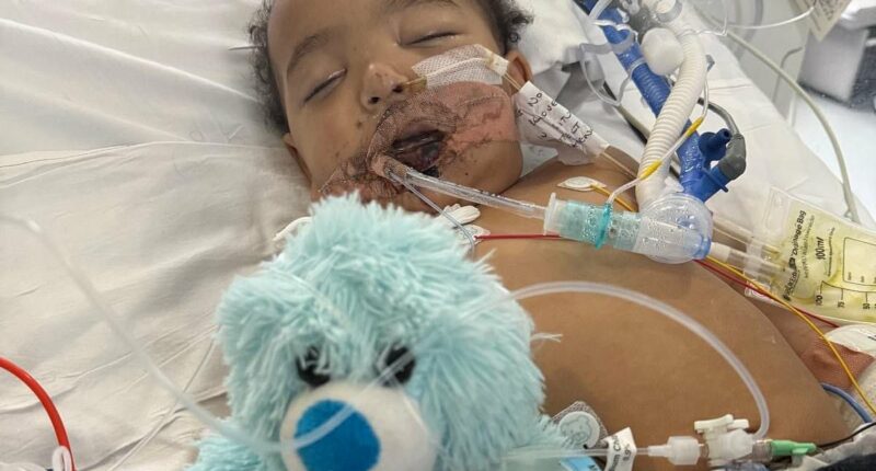Baby suffers heart attack after mistaking drain cleaner for milk