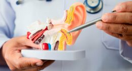 Being obese can increase your risk of developing incurable ear ringing disorder tinnitus