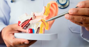 Being obese can increase your risk of developing incurable ear ringing disorder tinnitus