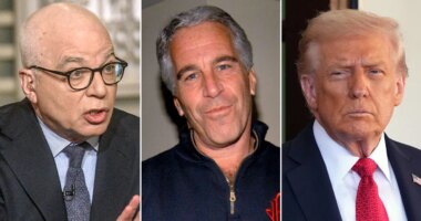 Biographer urged Epstein to bash Trump for 'political cover' in newly released emails