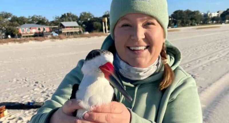 Biologist's world crashes down after Charlie Kirk assassination post