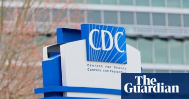 Bird flu: first ever death from rare H5N5 strain is recorded in US