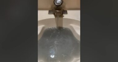 Black Beaverville, Illinois water with 'rotten eggs' smell plagues residents for 6 months and counting