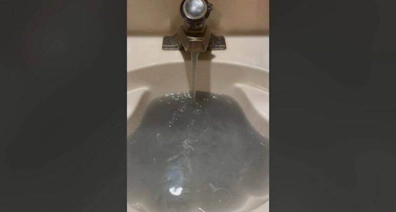 Black Beaverville, Illinois water with 'rotten eggs' smell plagues residents for 6 months and counting