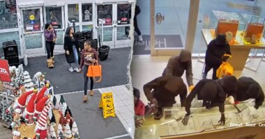 Black Friday theft threat turns holiday weekend into shoplifters' 'Super Bowl': former detective