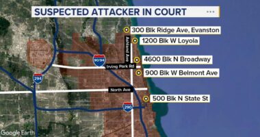Blue Island man Derek Rucker pleads guilty of of battering several women, police officer in Chicago, Evanston, CPD and docs show