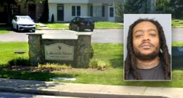 Blue state official releases man with no bail who returns one hour later to assault same woman: police