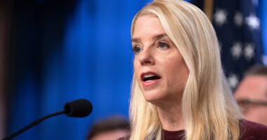 Bondi slams 'progressive left idiots' who attack guard deployment