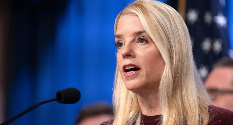 Bondi slams 'progressive left idiots' who attack guard deployment