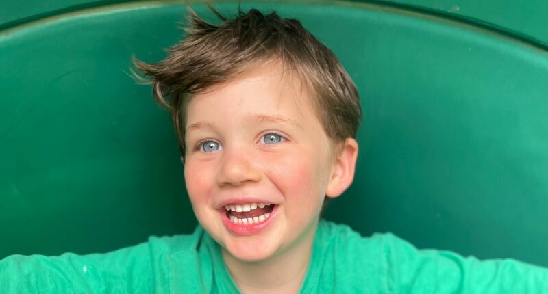 Boy, 4, is killed in horrific accident at popular park in front of dad