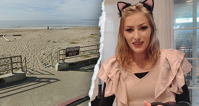 Boyfriend of woman who vanished at California beach bonfire speaks out, makes plea for public's help