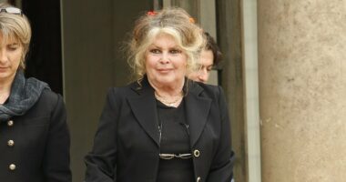 Brigitte Bardot rushed to hospital as she battles 'serious illness'