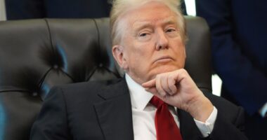 Bringing the Cold War back to schools