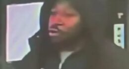 British train 'knifeman' pictured for first time as suspect,in court