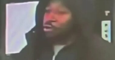 British train 'knifeman' pictured for first time as suspect,in court