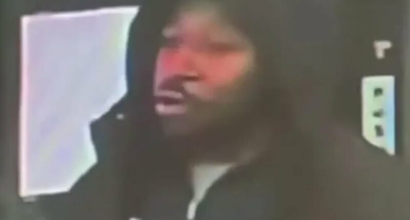 British train 'knifeman' pictured for first time as suspect,in court