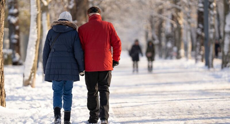 Brits urged to stock up on 5 household items as cold weather hits