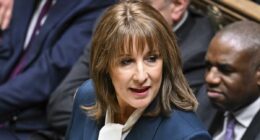 Budget hit to private investment won't help Britain's ambition to become a tech powerhouse, says ALEX BRUMMER