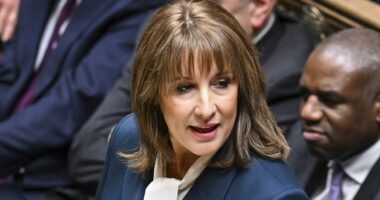 Budget hit to private investment won't help Britain's ambition to become a tech powerhouse, says ALEX BRUMMER