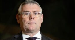 Workplace Relations Minister Murray Watt