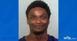 Burglary suspect shoots at Manatee County deputies, leads manhunt into woods: MCSO